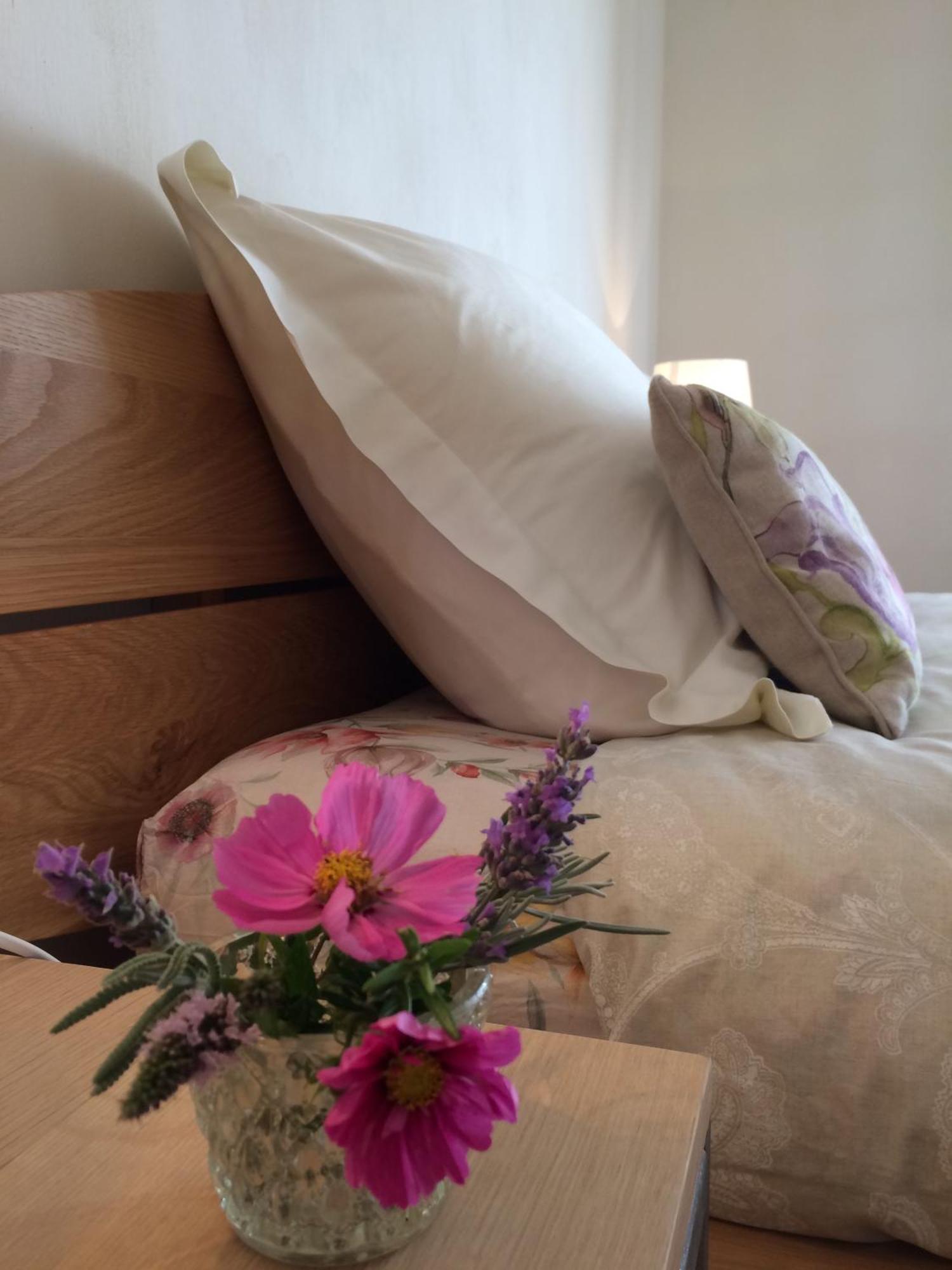 La Perle Des Montagnes - Bed And Breakfast - Chambre D Hote Vernet-les-Bains Eksteriør billede